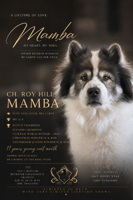 Dutch/Fin Ch. Roy Hill Mamba'JW'16, W'19, VWW-25 (Mamba)