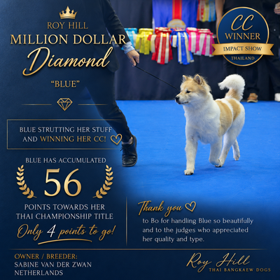 Roy Hill Million Dollar Diamond (Blue)