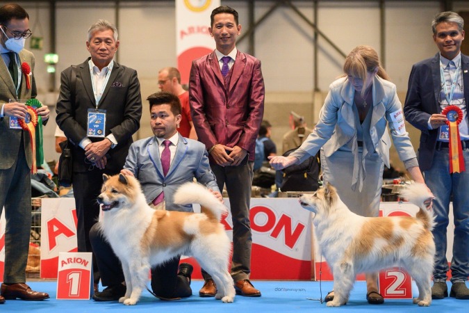 World dog Show 2022 in Madrid