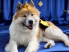 King