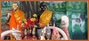 Bangkaew painting
